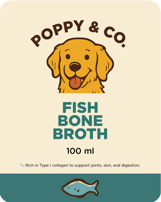 Fish Bone Broth (5-Pack)